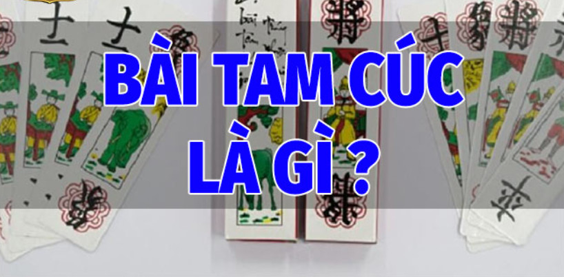 Bài Tam Cúc  Là Gì?