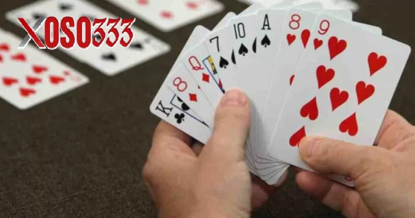 Tổng Quan Về Bài Bridge Cập Nhật Mới Nhất