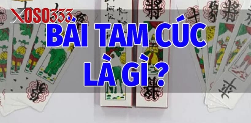 Bài Tam Cúc Là Gì?