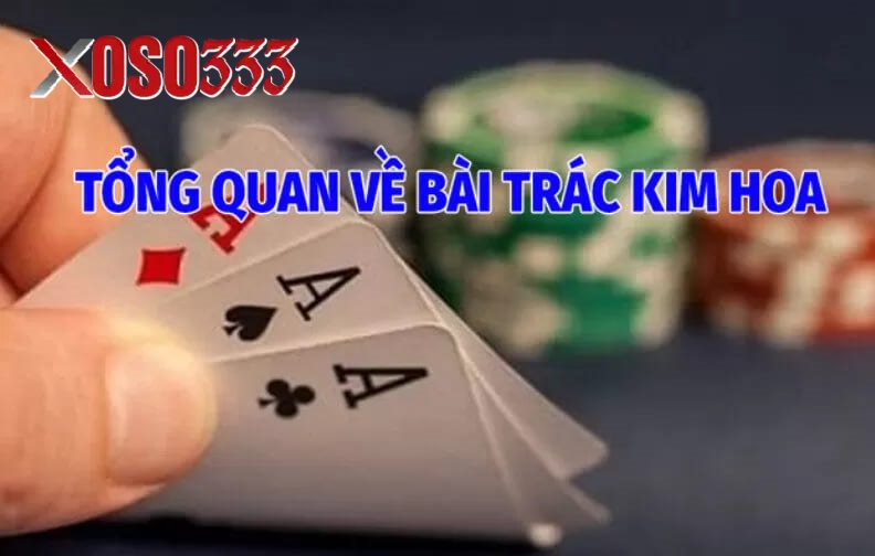 Tổng Quan Về Bài Trác Kim Hoa