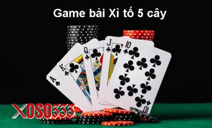 Các thuật ngữ thường gặp trong xì tố 